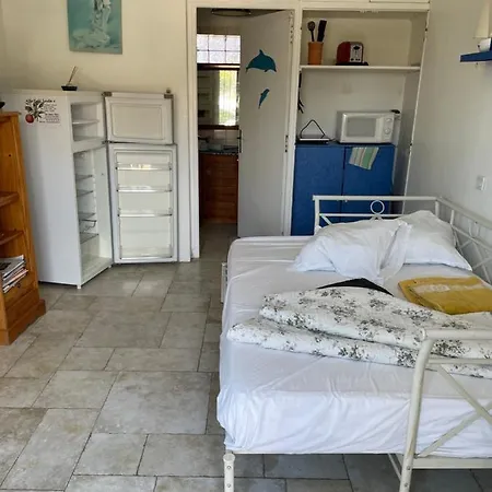 Tres Beau Studio Lumineux Dans Villa Avec Piscine Apartment Juan-les-Pins