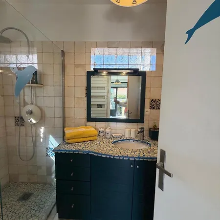 Tres Beau Lumineux Dans Avec Piscine Appartement