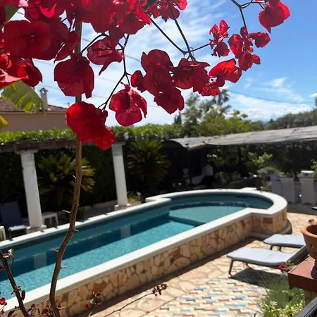 Appartement Tres Beau Lumineux Dans Avec Piscine *