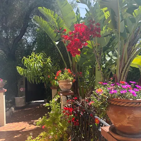 Tres Beau Lumineux Dans Avec Piscine Appartement Juan-les-Pins